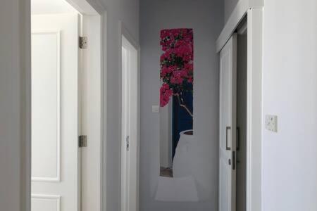 Kings Palace - Superb 2 Bed Ground Floor Apartment Paphos Exteriér fotografie